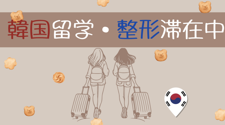 韓国留学・整形滞在中